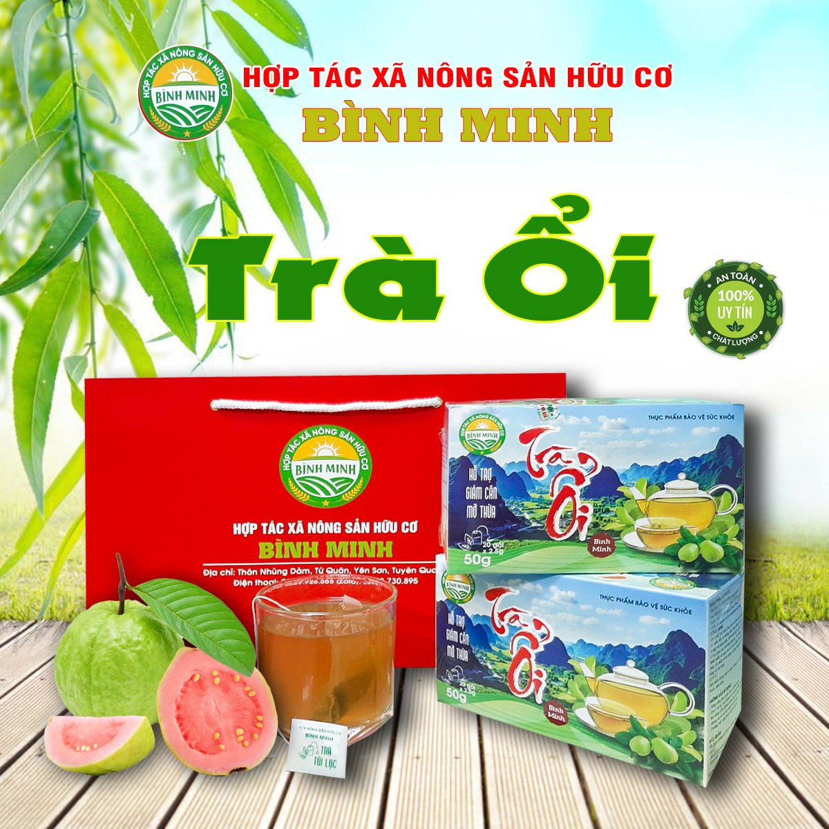 Trà ổi Bình Minh - Tuyên Quang